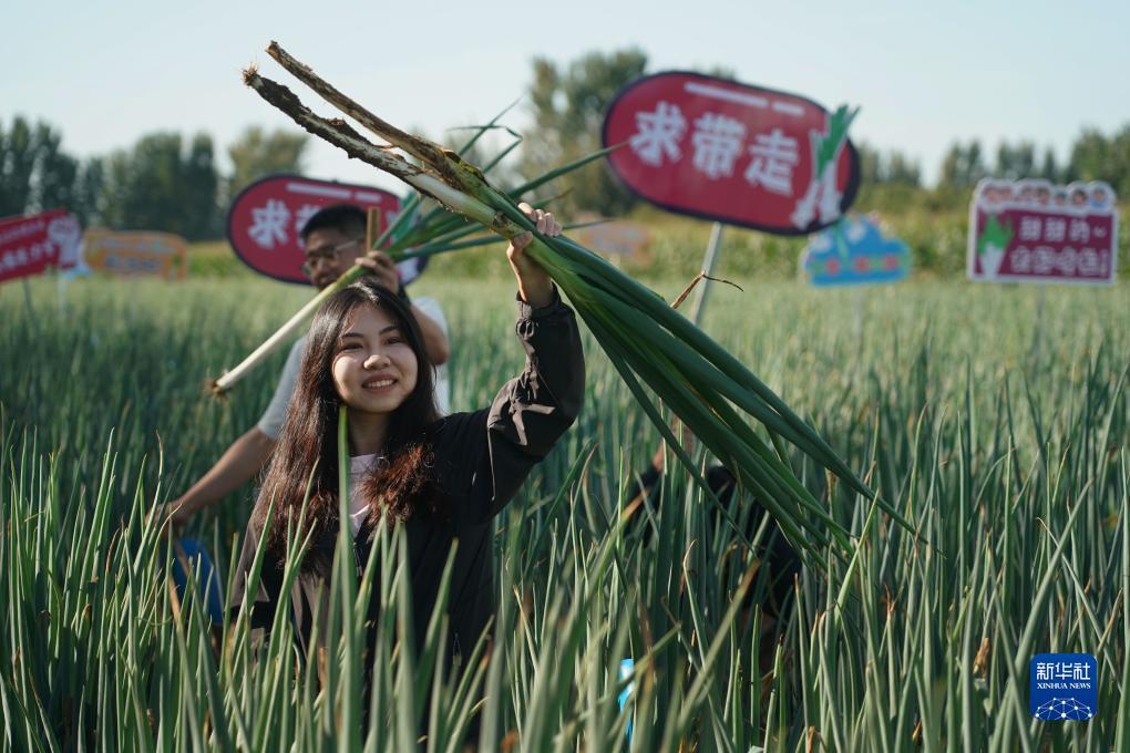 玖信娱乐指尖可